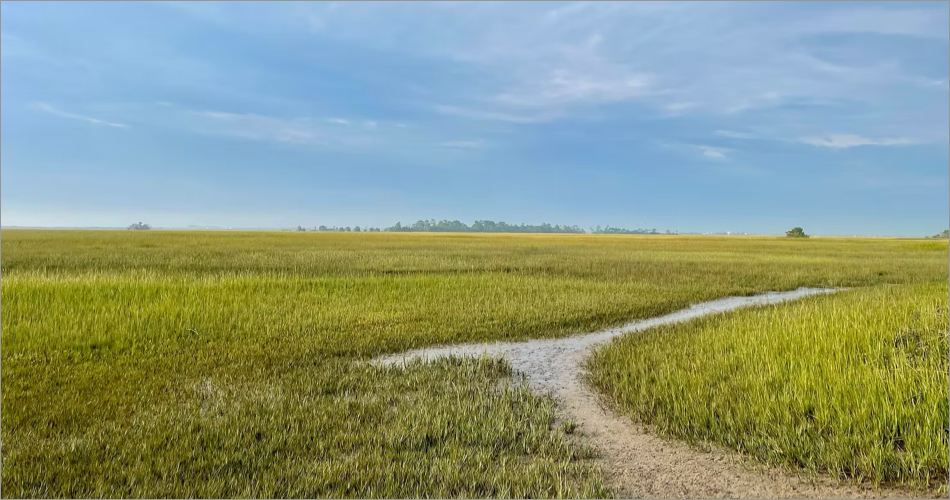 Marsh View Trail